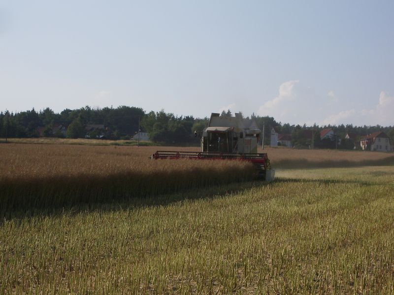 Claas Lexion 480 01.jpg